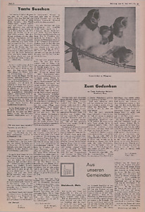 147807-Thumbnail Image.jpg