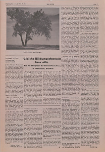 147819-Thumbnail Image.jpg