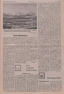 147899-Thumbnail Image.jpg