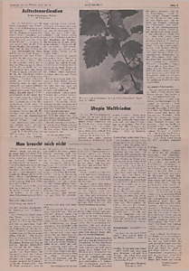 148064-Thumbnail Image.jpg