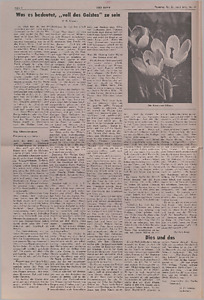 148401-Thumbnail Image.jpg