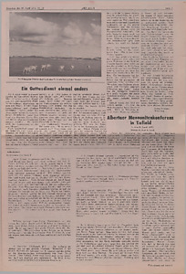 148404-Thumbnail Image.jpg