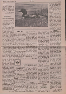 148510-Thumbnail Image.jpg