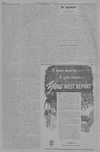 156301-Thumbnail Image.jpg